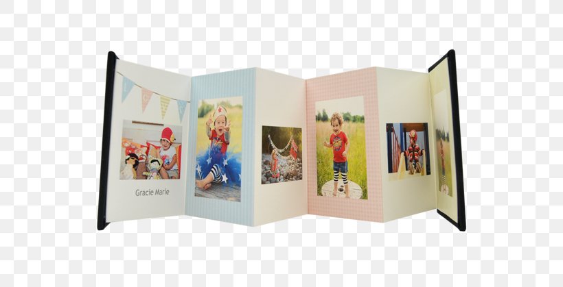 Shelf Photo Albums Product Photograph, PNG, 636x419px, Shelf, Album, Photo Albums, Photograph Album, Picture Frame Download Free