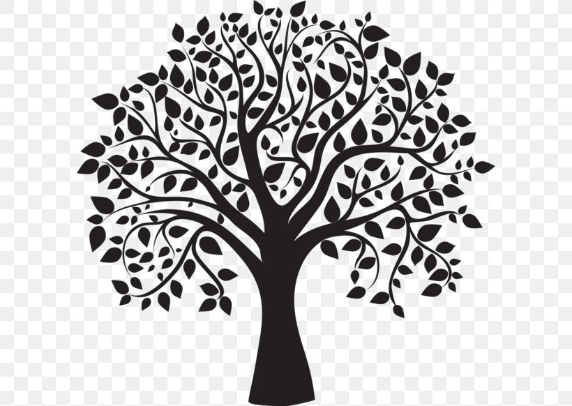 Tree Drawing Clip Art, PNG, 600x582px, Tree, Aspen, Birch, Black And White, Branch Download Free