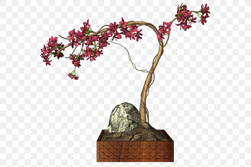 Chinese Sweet Plum Flower Clip Art, PNG, 600x545px, Chinese Sweet Plum, Bonsai, Branch, Flower, Flower Bouquet Download Free