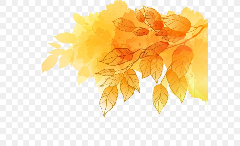 Maple Leaf Autumn Gold, PNG, 600x501px, Autumn, Autumn Leaf Color, Branch, Flower, Leaf Download Free
