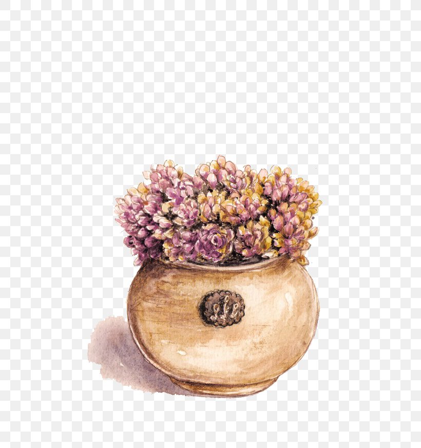 Succulent Plant Purple Flowerpot, PNG, 700x872px, Succulent Plant, Color, Drawing, Flower, Flowerpot Download Free