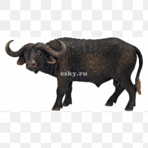 Toy - Amazon.com African Buffalo Toy Schleich Calf PNG