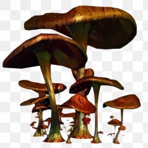 Edible Mushroom Product Design PNG