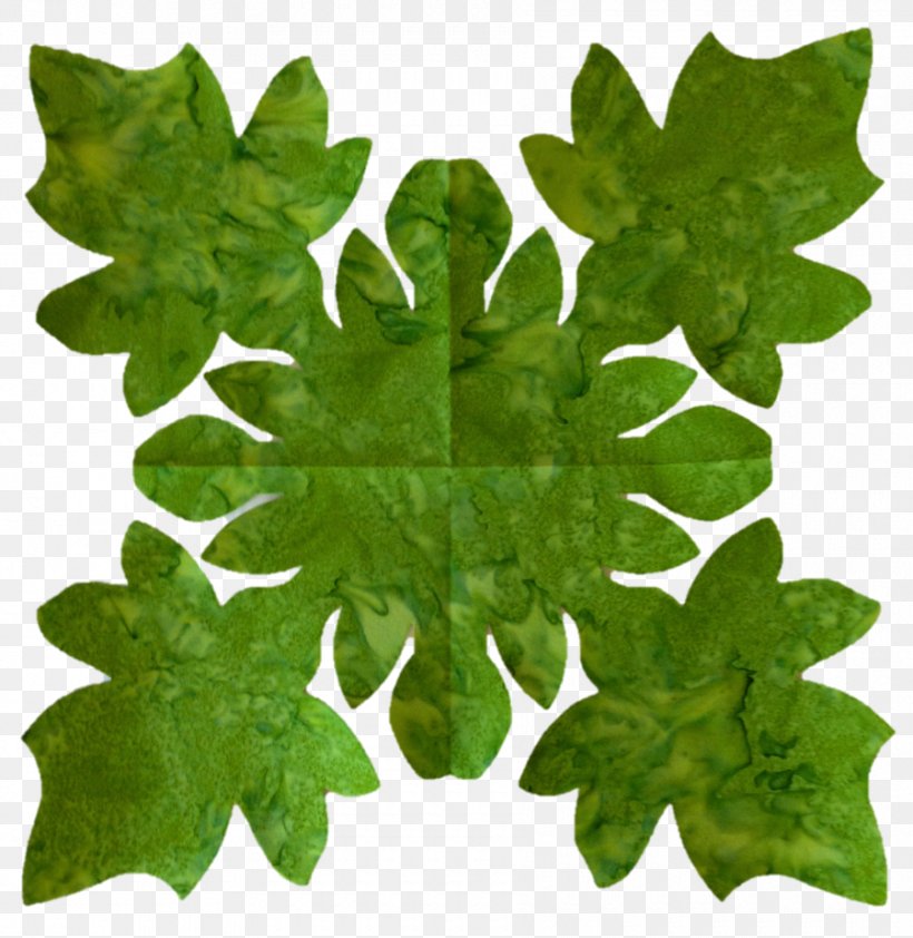 Plant Leaf Tree, PNG, 900x925px, Plant, Ivy, Leaf, Tree Download Free