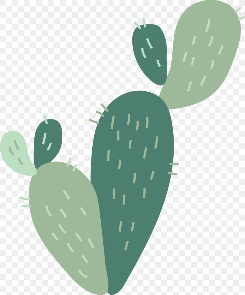 Cactaceae Green Nopal, PNG, 2251x2718px, Cactaceae, Blue, Cactus, Flowering Plant, Green Download Free