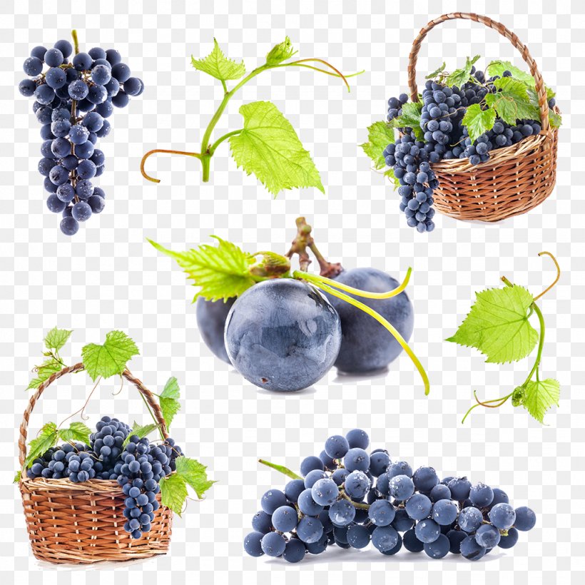 Common Grape Vine Stock Photography, PNG, 1024x1024px, Grape, Bilberry, Blueberry, Blueberry Tea, Flowerpot Download Free