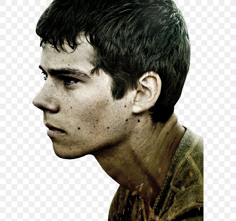 Dylan O'Brien The Maze Runner Film, PNG, 595x768px, Maze Runner, Chin, Drawing, Ear, Film Download Free