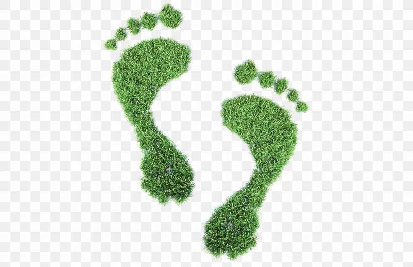 Ecological Footprint Royalty-free Carbon Footprint Clip Art, PNG, 1391x900px, Ecological Footprint, Carbon Footprint, Concept, Ecology, Environment Download Free