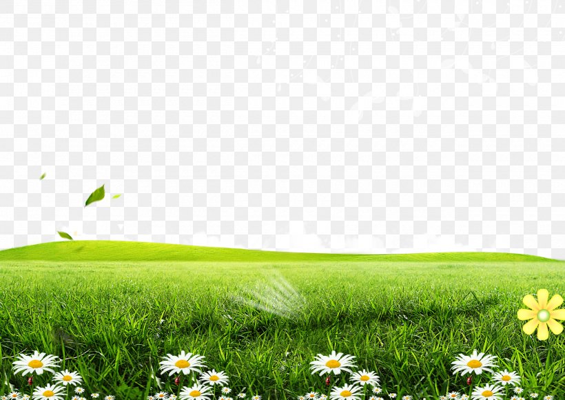 Green Lawn Poster Wallpaper, PNG, 2500x1770px, Green, Field, Flora, Flower, Grass Download Free