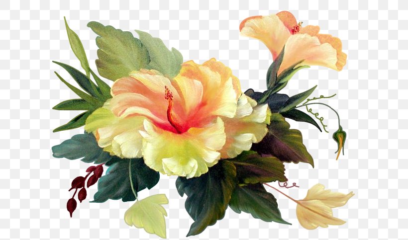Hibiscus Flower Blume Bokmxe4rke Clip Art, PNG, 617x483px, Hibiscus, Albom, Annual Plant, Artificial Flower, Blog Download Free