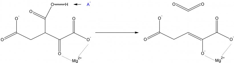 Isocitrate Dehydrogenase Isocitric Acid Nicotinamide Adenine Dinucleotide Oxidative Decarboxylation Enzyme, PNG, 2778x762px, Isocitrate Dehydrogenase, Area, Aromatase Inhibitor, Black And White, Carbohydrate Metabolism Download Free