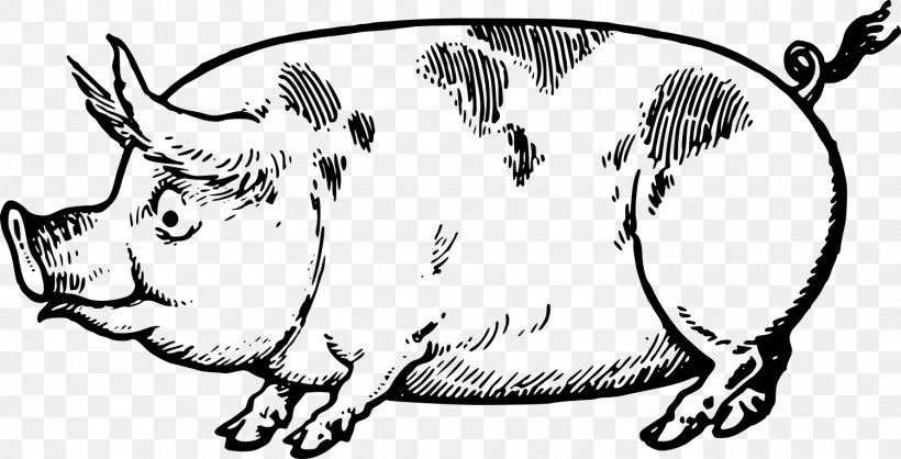Pig Drawing Made Easy: A Helpful Book For Young Artists; The Way To Begin And Finish Your Sketches Clearly Shown Step By Step Line Art Clip Art, PNG, 1500x766px, Pig, Art, Artwork, Black, Black And White Download Free