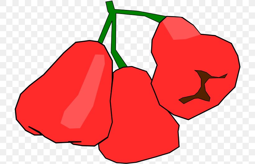 Clip Art Cashew Desktop Wallpaper, PNG, 728x528px, Cashew, Bell Pepper, Bell Peppers And Chili Peppers, Capsicum, Chili Pepper Download Free