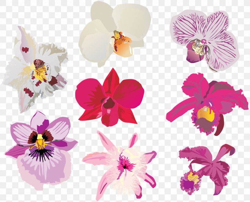 Orchids Flower, PNG, 1600x1298px, Orchids, Cut Flowers, Element, Flower, Flowering Plant Download Free