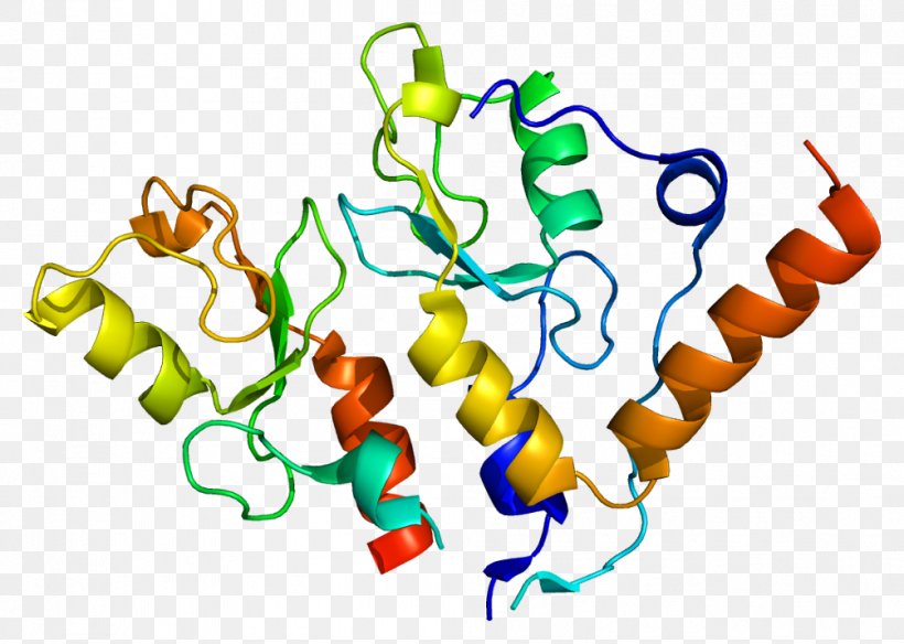 BMI1 Polycomb-group Proteins RING Finger Domain Stem Cell, PNG, 1004x716px, Watercolor, Cartoon, Flower, Frame, Heart Download Free