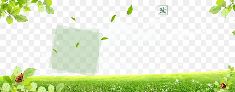 Branch Meadow Lawn Wallpaper, PNG, 1920x750px, Branch, Computer, Energy, Flora, Flowerpot Download Free
