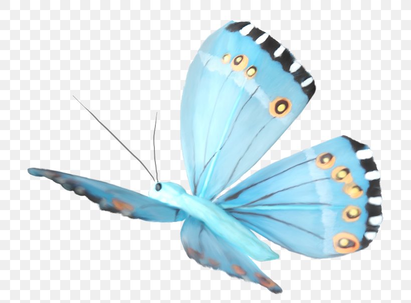 Butterfly Clip Art, PNG, 750x606px, Butterfly, Arthropod, Brush Footed Butterfly, Butterflies And Moths, Insect Download Free