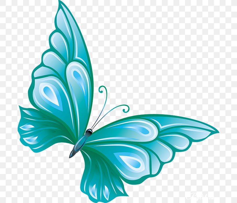 Butterfly Clip Art Image Openclipart, PNG, 698x700px, Butterfly, Aqua, Brushfooted Butterflies, Butterflies And Moths, Butterfly Moth Download Free