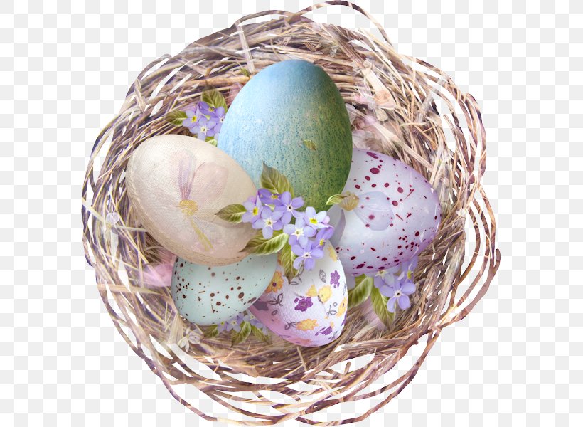 Easter Egg Nest Chicken, PNG, 591x600px, Easter Egg, Bird Nest, Chicken, Chicken Egg, Easter Download Free