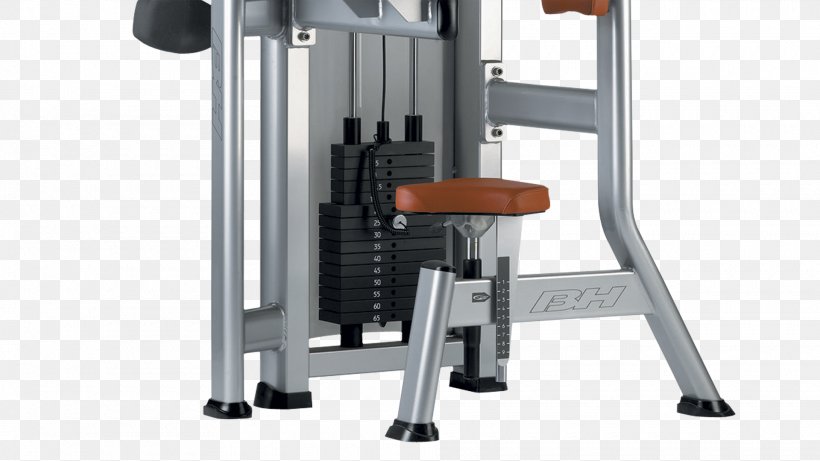Fitness Centre Exercise Machine Exercise Equipment Triceps Brachii Muscle Weight Plate, PNG, 1920x1080px, Fitness Centre, Exercise Equipment, Exercise Machine, Gym, Hardware Download Free