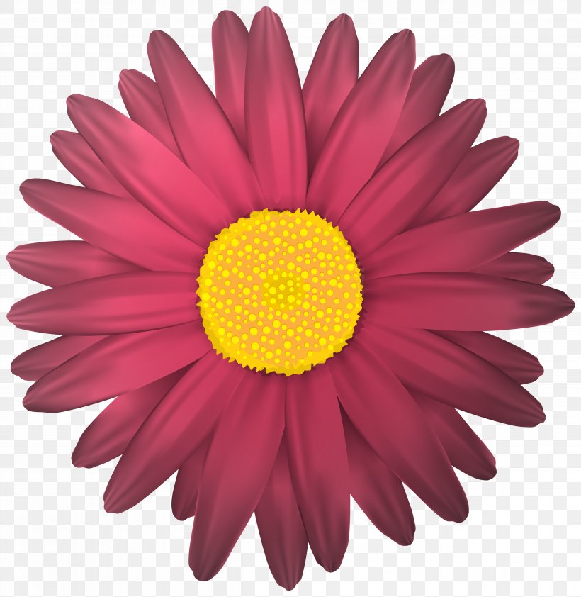 Flower Clip Art, PNG, 4869x5000px, Flower, Aster, Chamomile, Chrysanths, Color Download Free