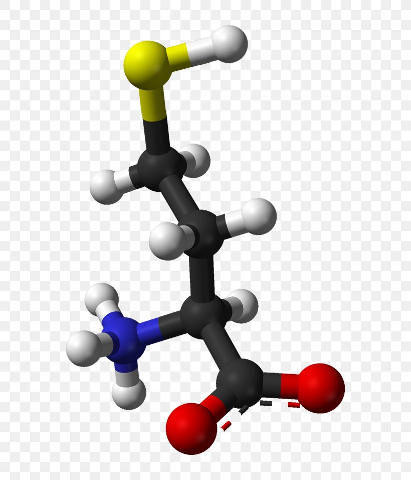 Homocysteine Health Molecule Chemistry Nutrition, PNG, 657x956px, Homocysteine, Acid, Amino Acid, Biomedical Sciences, Catecholomethyltransferase Download Free