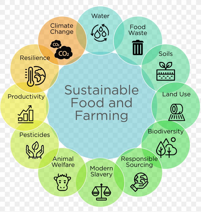 Sustainability Food And Farming Sustainable Agriculture Sustainable Development, PNG, 3825x4021px, Sustainability, Agriculture, Area, Ball, Brand Download Free