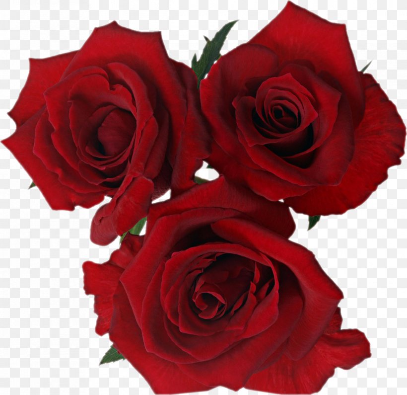 Daytime Birthday Flower Bouquet Gift Valentine's Day, PNG, 1216x1180px, Daytime, Autumn, Birthday, Cut Flowers, Daughter Download Free