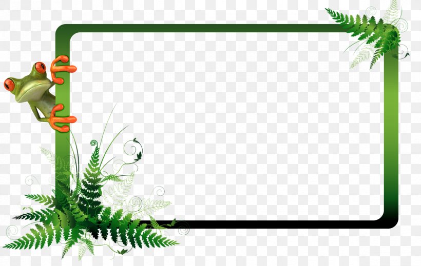 Leaf Green Plant Stem Picture Frames Clip Art, PNG, 1184x750px, Leaf, Area, Communication, Grass, Green Download Free