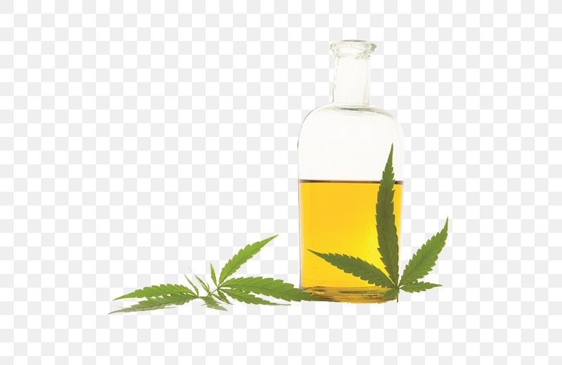 Cannabidiol Hemp Oil Hash Oil Cannabis, PNG, 800x533px, Cannabidiol, Cannabinoid, Cannabis, Cannabis Cultivation, Cannabis Sativa Download Free