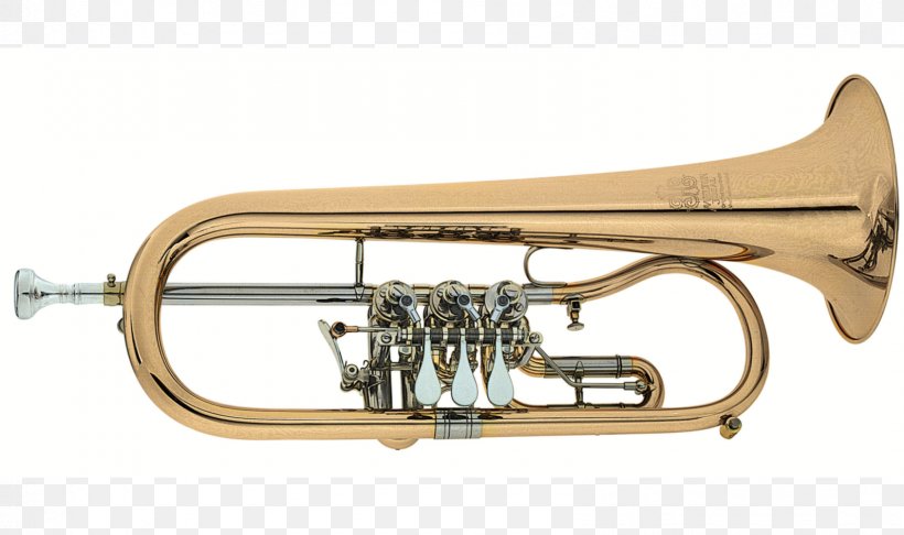Cornet Flugelhorn Saxhorn Mellophone Trumpet, PNG, 1592x945px, Watercolor, Cartoon, Flower, Frame, Heart Download Free