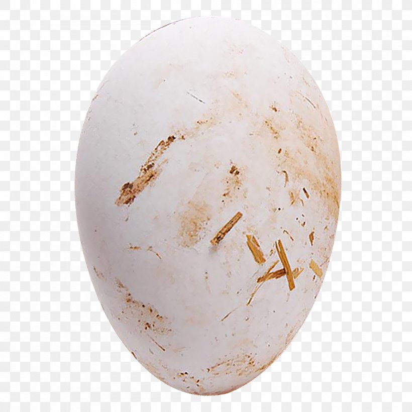 Domestic Goose Egg Chicken, PNG, 1000x1000px, Domestic Goose, Artifact, Chicken, Designer, Egg Download Free