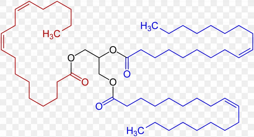 Fatty Acid Triglyceride Trans Fat Vegetable Oil, PNG, 6246x3367px, Fat, Acid, Area, Diagram, Ester Download Free