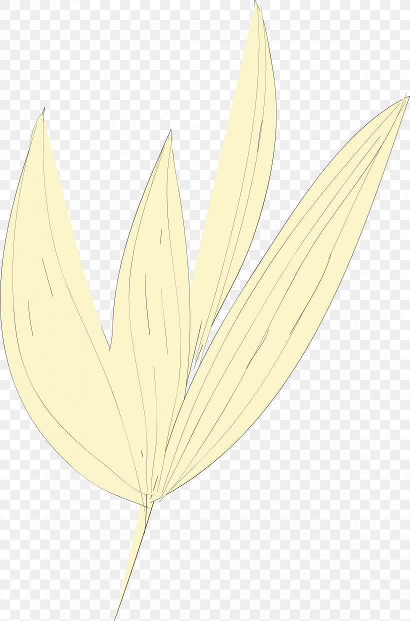 Simple Leaf Simple Leaf Drawing Simple Leaf Outline, PNG, 2346x3557px, Simple Leaf, Biology, Commodity, Flower, Leaf Download Free