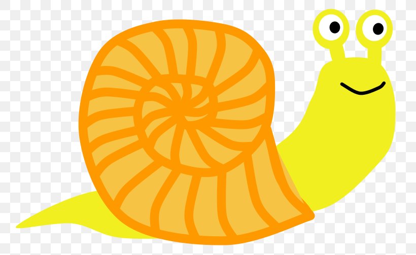 Snail Clip Art, PNG, 800x503px, Snail, Area, Beak, Blog, Email Download Free