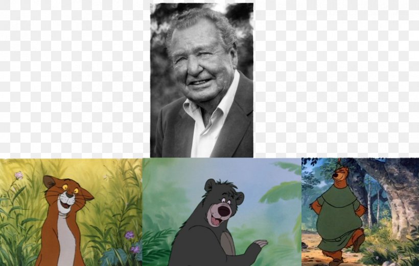 Baloo Thomas O'Malley The Jungle Book Petit Jean Voice Actor, PNG, 863x550px, Baloo, Actor, Aristocats, Art, Collage Download Free