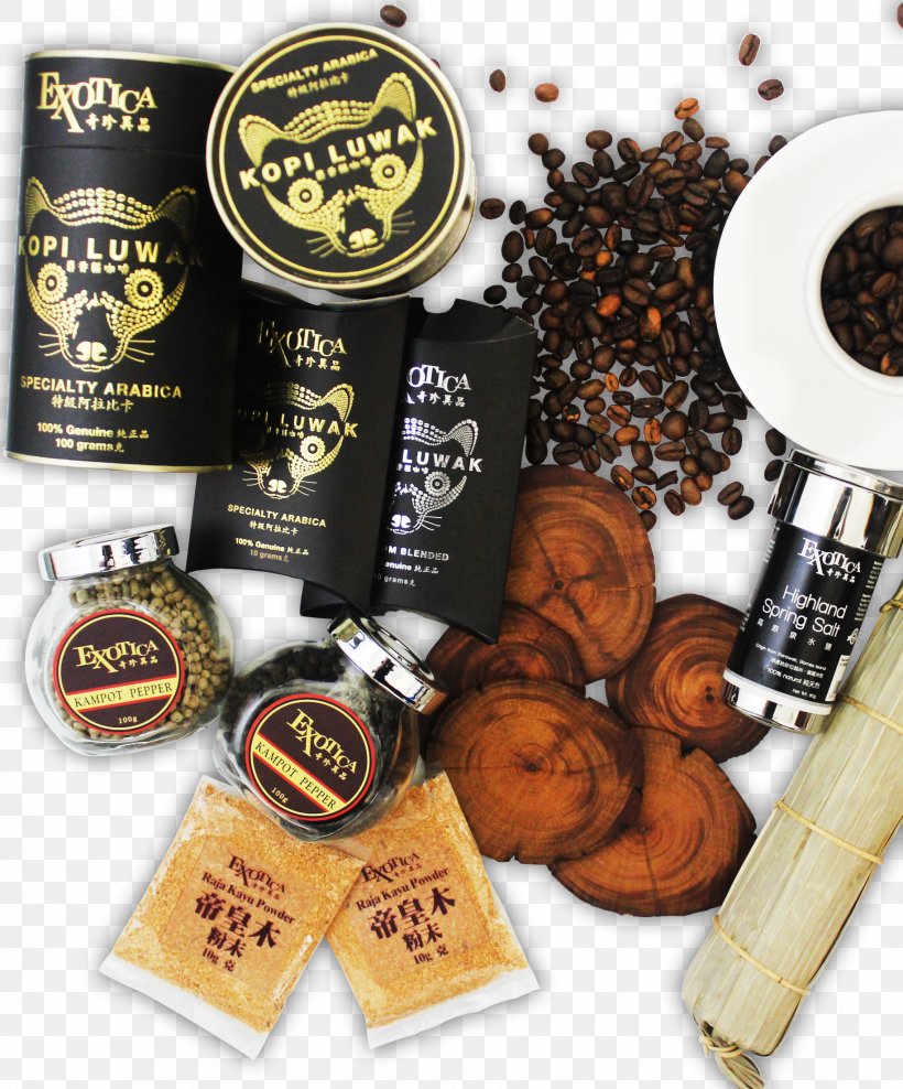 Bario Porcupine Dates Kopi Luwak Coffee Asian Secrets Sdn. Bhd., PNG, 1830x2205px, Bario, Asian Palm Civet, Brand, Coffee, Flavor Download Free