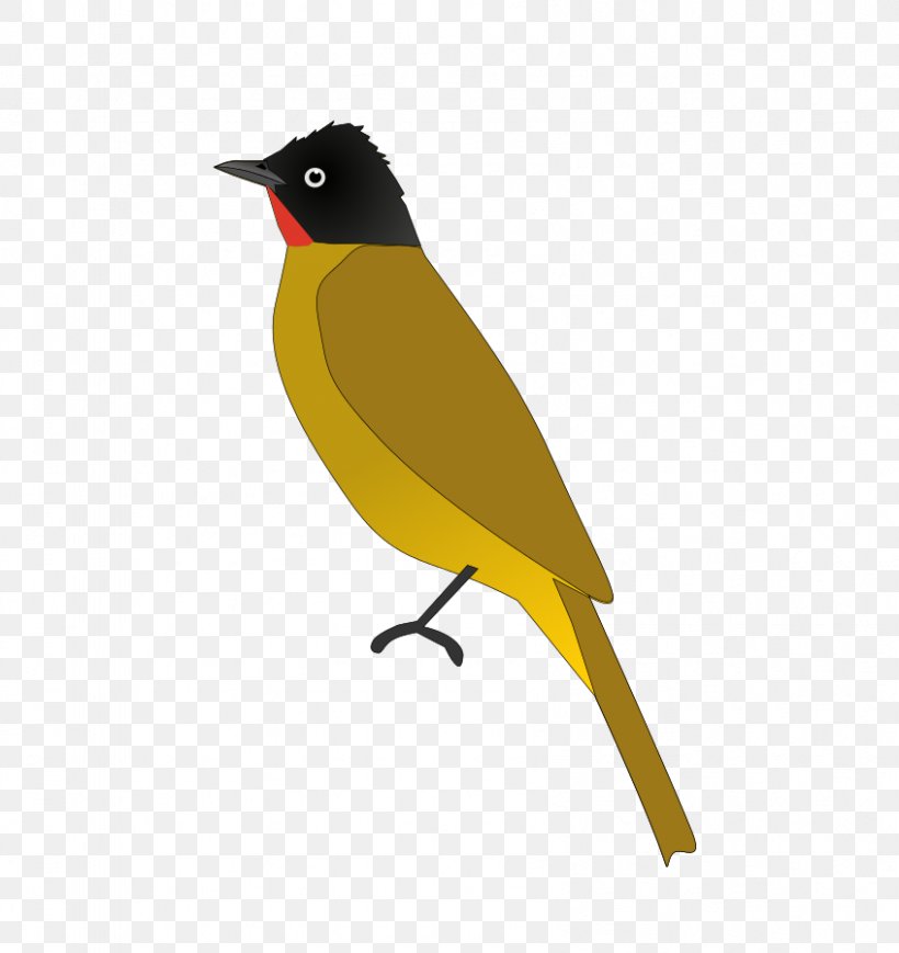 Eurasian Golden Oriole Bird Common Nightingale Red-whiskered Bulbul India, PNG, 847x898px, Eurasian Golden Oriole, Beak, Bird, Bulbul, Common Nightingale Download Free