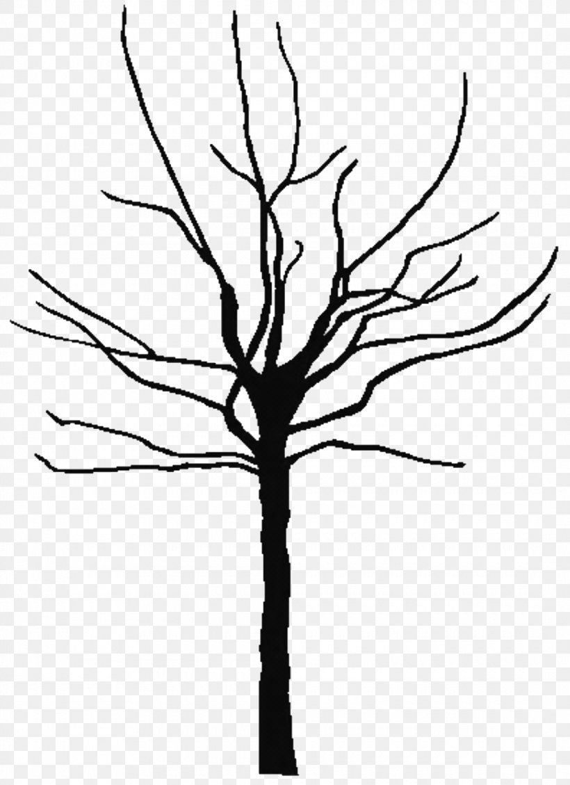 Tree Branch Oak Clip Art, PNG, 1080x1488px, Tree, Black And White, Branch, Coloring Book, Deciduous Download Free