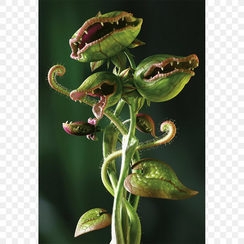 Carnivorous Plant Carnivore Venus Flytrap Eating, PNG, 940x940px, Carnivorous Plant, Antirrhinum Majus, Bee Balm, Carnivore, Eating Download Free