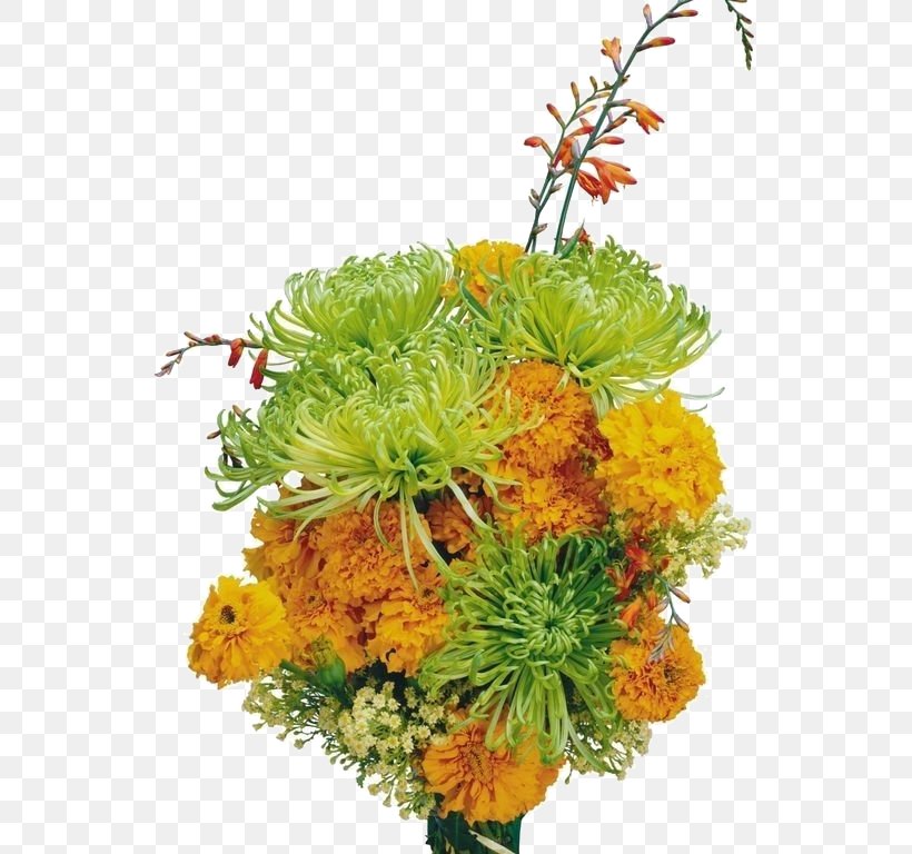 Chrysanthemum Flower Bouquet Clip Art, PNG, 564x768px, Chrysanthemum, Albom, Cdr, Chrysanths, Cut Flowers Download Free