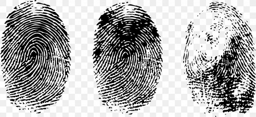 Fingerprint Thumb, PNG, 1621x740px, Fingerprint, Automotive Tire, Black And White, Dactiloscopie, Digit Download Free