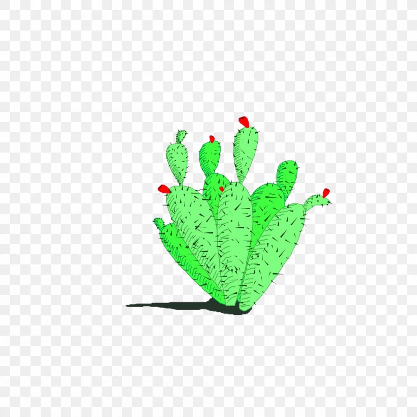 Cactus Logo Design Adobe Photoshop, PNG, 1000x1000px, Cactus, Designer, Drawing, Flowering Plant, Flowerpot Download Free