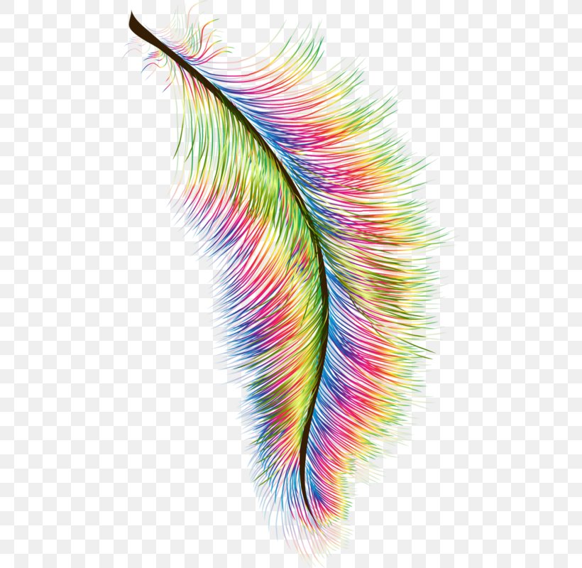 Feather Hair Photography Clip Art, PNG, 477x800px, Feather, Close Up, Dye, Eyelash, Hair Download Free