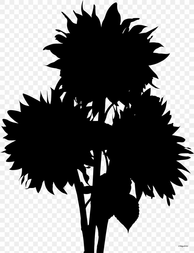 Flowering Plant Silhouette Leaf Plants, PNG, 2086x2718px, Flower, Arecales, Black, Black M, Blackandwhite Download Free