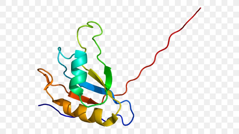 EIF4B Ribosome Eukaryotic Translation EIF4E Eukaryotic Initiation Factor, PNG, 613x459px, Watercolor, Cartoon, Flower, Frame, Heart Download Free