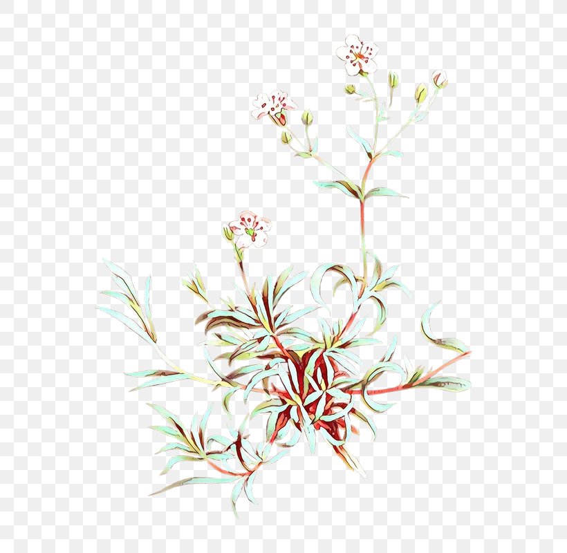 Flower Plant Branch Pedicel Grass, PNG, 640x800px, Cartoon, Branch, Flower, Flowering Plant, Grass Download Free