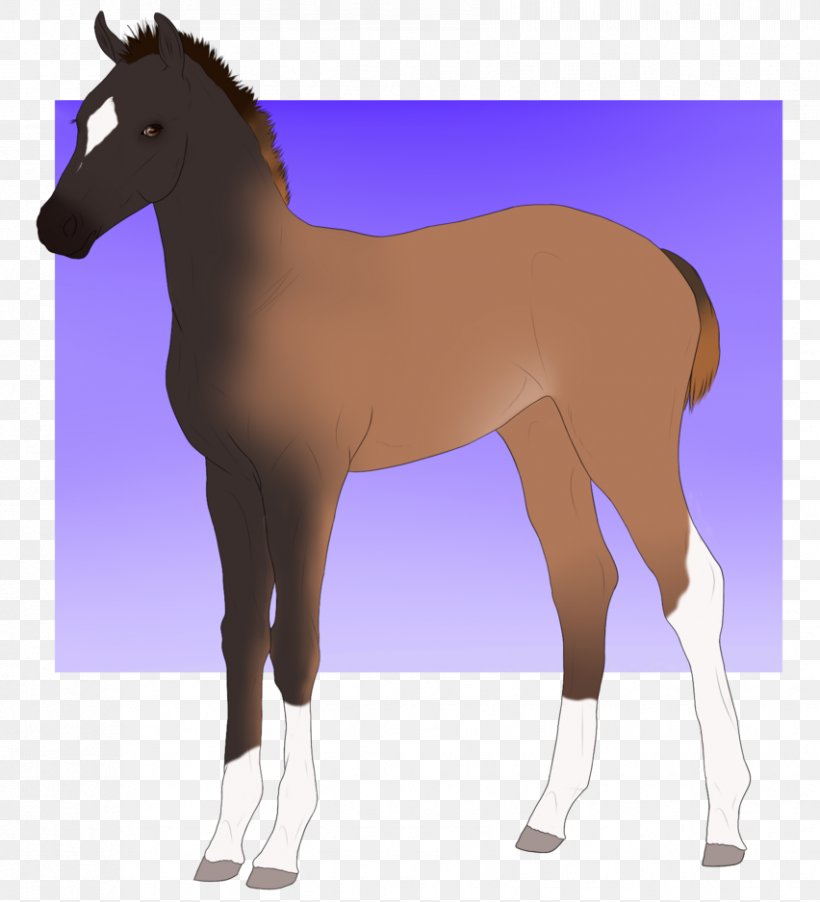 Mule Foal Mustang Stallion Colt, PNG, 852x938px, Mule, Bridle, Colt, Foal, Halter Download Free