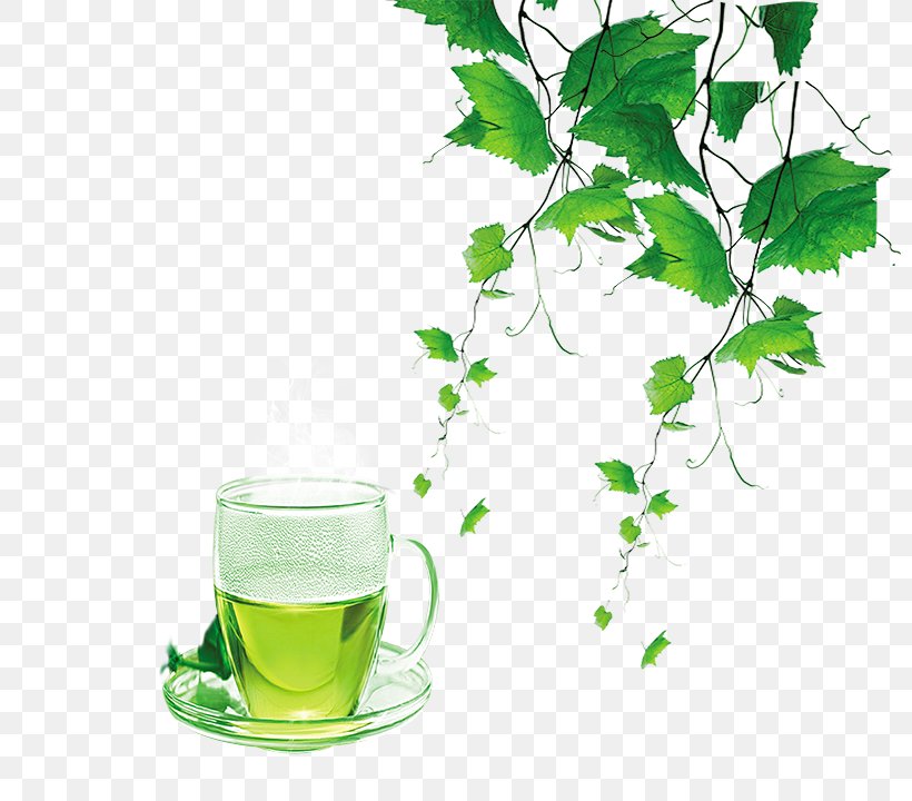 Green Tea Puer Tea, PNG, 800x720px, Tea, Alternative Medicine, Branch, Coffee Cup, Cup Download Free
