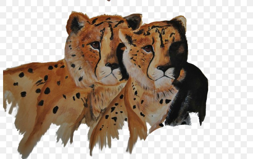 Cheetah Tiger Whiskers Cat Fur, PNG, 800x518px, Cheetah, Animal, Big Cat, Big Cats, Carnivoran Download Free